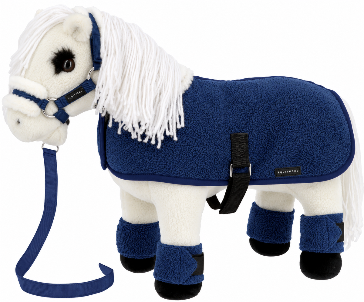 Mini poni completo con accesorios