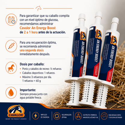 Infografía de Cavalor An Energy Boost con instrucciones de uso, dosis por caballo y recomendaciones para favorecer la energía y la recuperación.