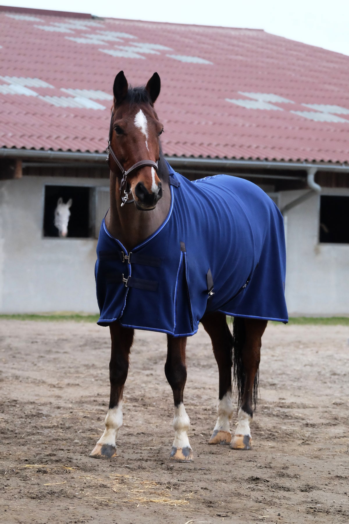 Manta polar EQUITHÈME Classic
