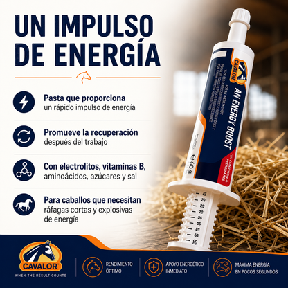 Cavalor An Energy Boost para caballos: pasta energética con electrolitos, vitaminas B y aminoácidos para mejorar el rendimiento y la recuperación.