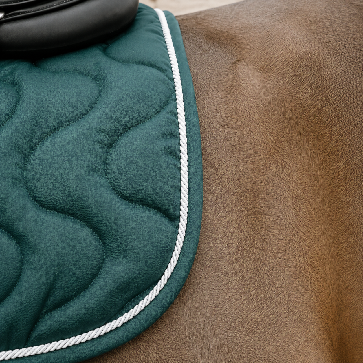 Sudadero Riding World EK-Maxifun