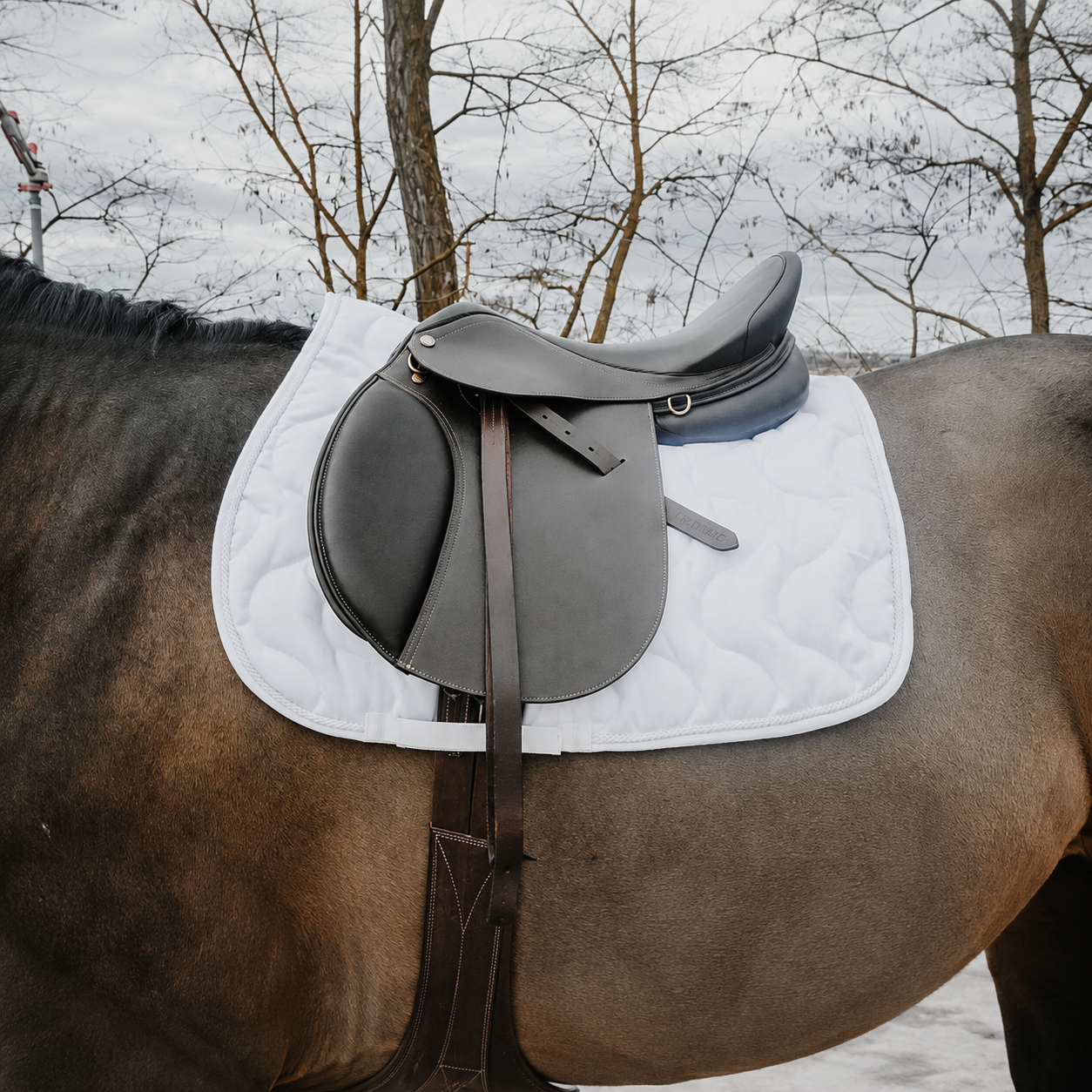 Sudadero Riding World EK-Maxifun