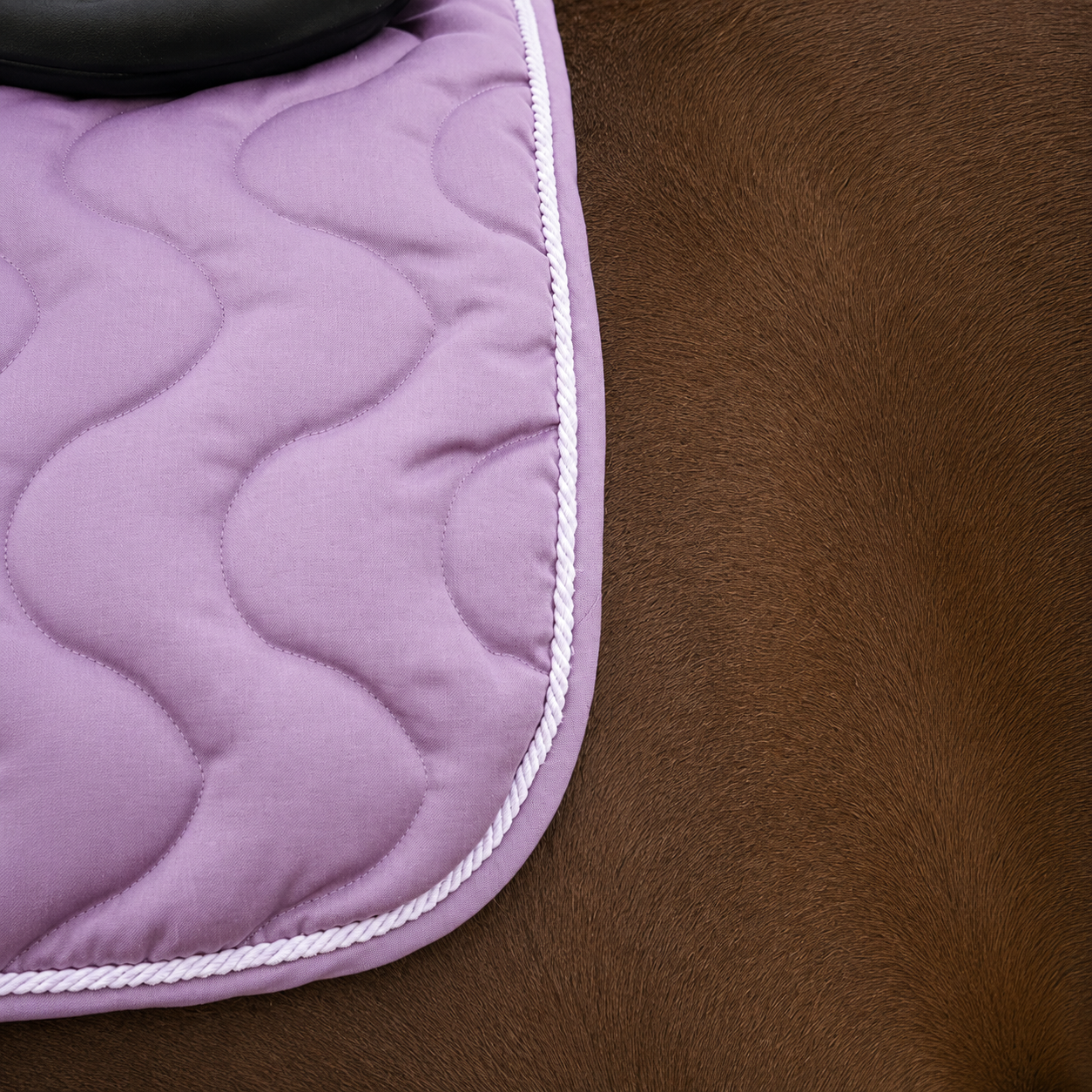 Sudadero Riding World EK-Maxifun