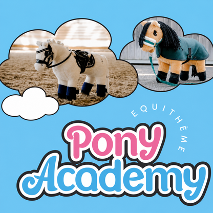 RESERVA EL TUYO,  Próxima llegada 30/9.  Pony de peluche Jumpi Castaño