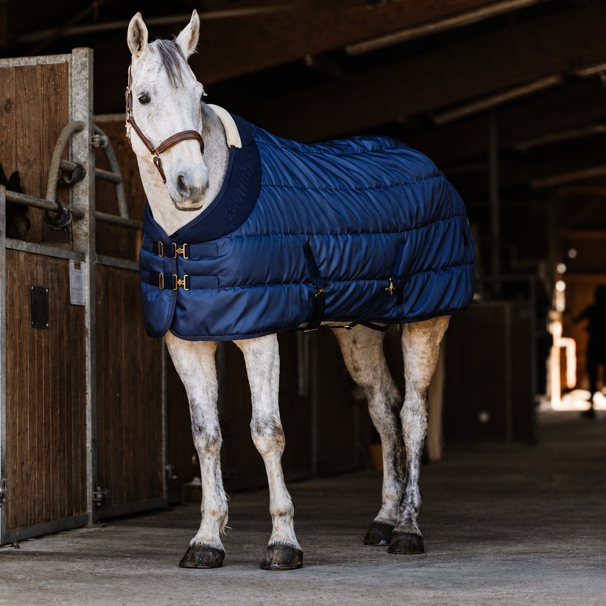 Manta de cuadra 200 g/m² EQUITHÈME - Confortech