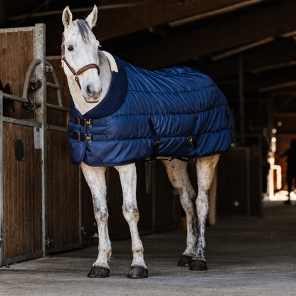 Manta de cuadra 200 g/m² EQUITHÈME - Confortech