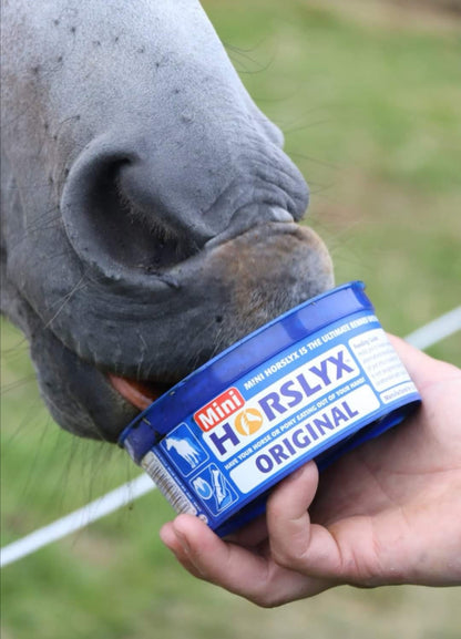 Horslyx Original 650 g – Bloque multivitamínico y mineral para caballos y ponis.