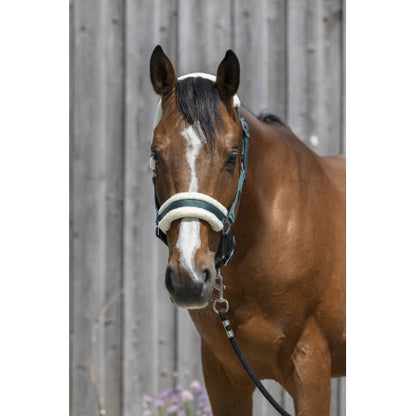 Cabezada de oveja sintética RIDING WORLD