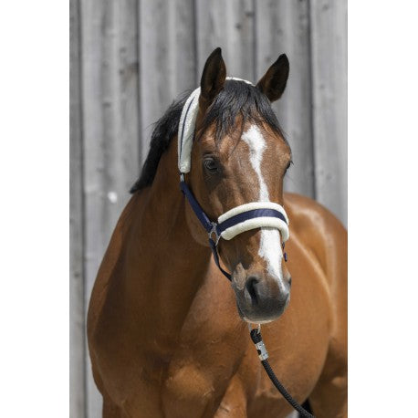 Cabezada de oveja sintética RIDING WORLD