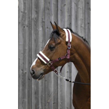 Cabezada de oveja sintética RIDING WORLD