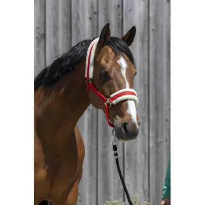 Cabezada de oveja sintética RIDING WORLD