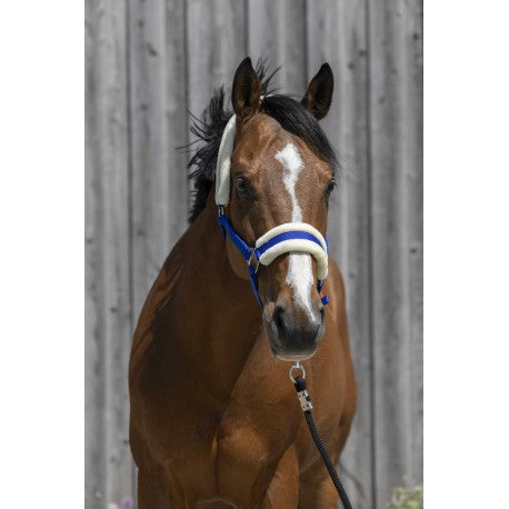 Cabezada de oveja sintética RIDING WORLD