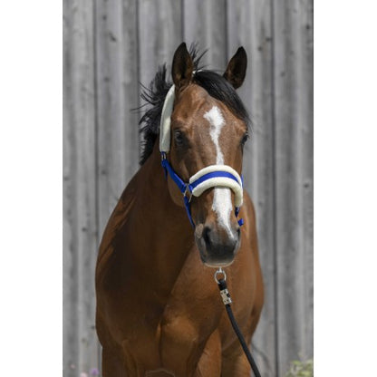 Cabezada de oveja sintética RIDING WORLD