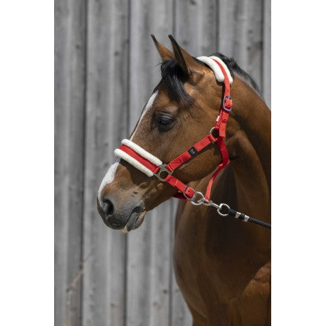 Cabezada de oveja sintética RIDING WORLD