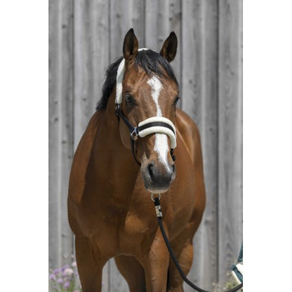 Cabezada de oveja sintética RIDING WORLD