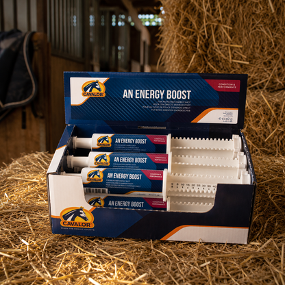 Caja de Cavalor An Energy Boost con jeringas energéticas para caballos, suplemento para aportar energía antes del ejercicio.