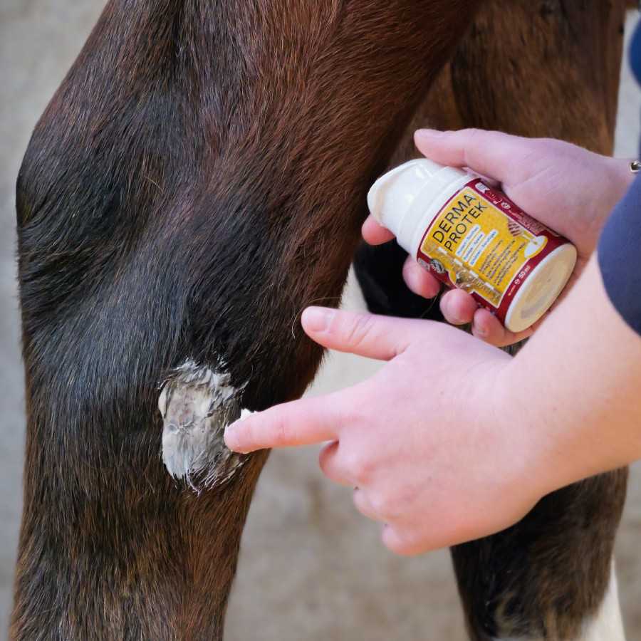 Derma Protek de KEVIN BACON'S