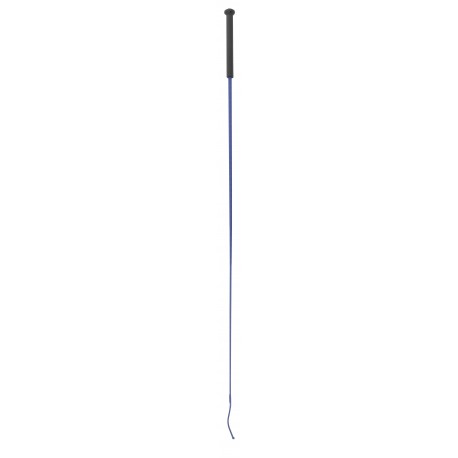 Fusta de doma WHIP & GO