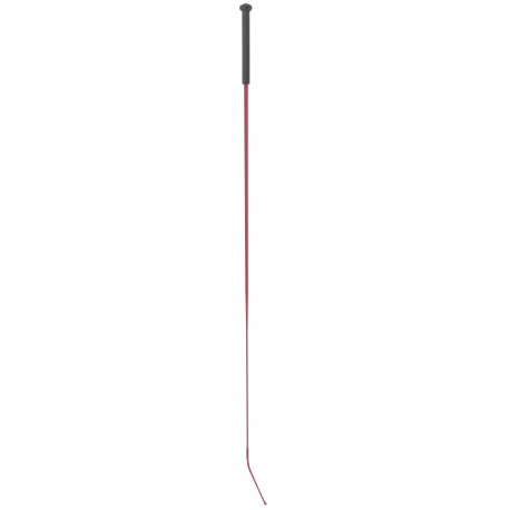 Fusta de doma WHIP & GO