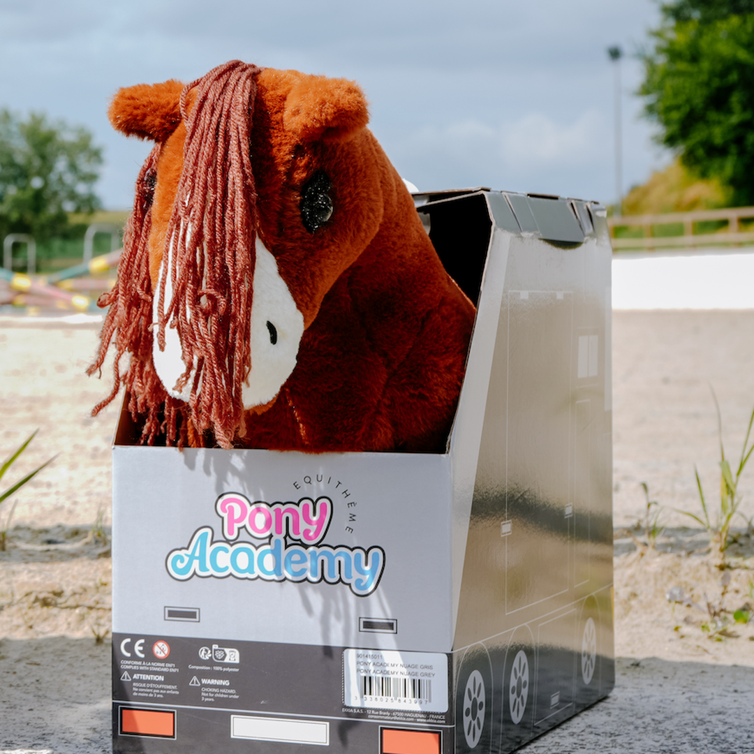Mini pony completo con accesorios. RESERVA EL TUYO, Próxima llegada 30/9.