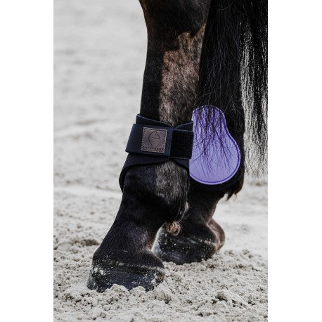 Protectores de menudillo EQUITHÈME - Tara