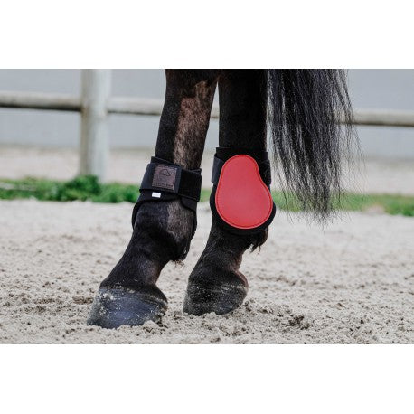 Protectores de menudillo EQUITHÈME - Tara