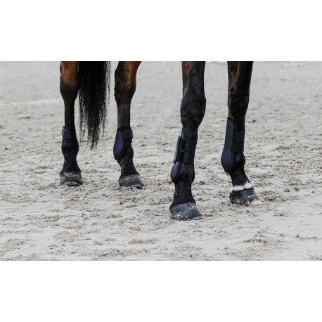 Protectores de menudillo EQUITHÈME - Tara