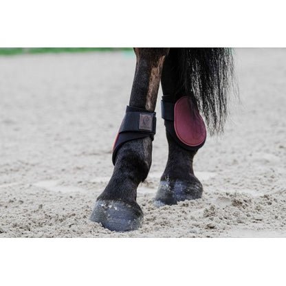 Protectores de menudillo EQUITHÈME - Tara