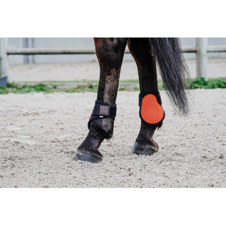 Protectores de menudillo EQUITHÈME - Tara