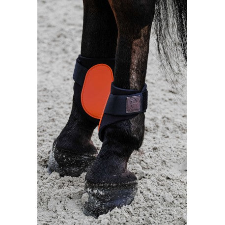 Protectores de menudillo EQUITHÈME - Tara