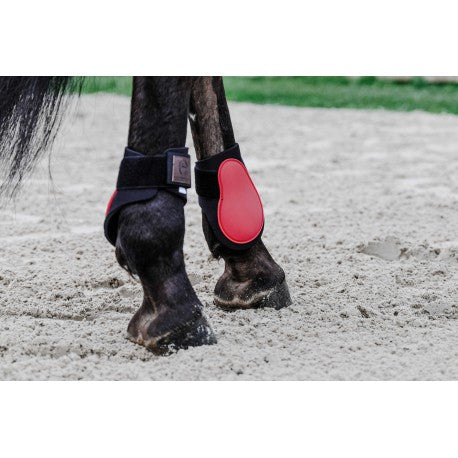 Protectores de menudillo EQUITHÈME - Tara