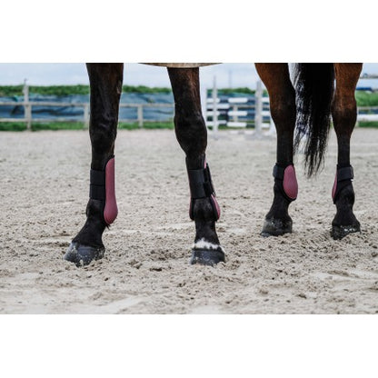 Protectores de menudillo EQUITHÈME - Tara