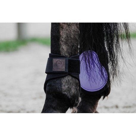 Protectores de menudillo EQUITHÈME - Tara