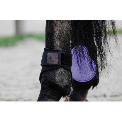 Protectores de menudillo EQUITHÈME - Tara