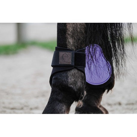 Protectores de menudillo EQUITHÈME - Tara